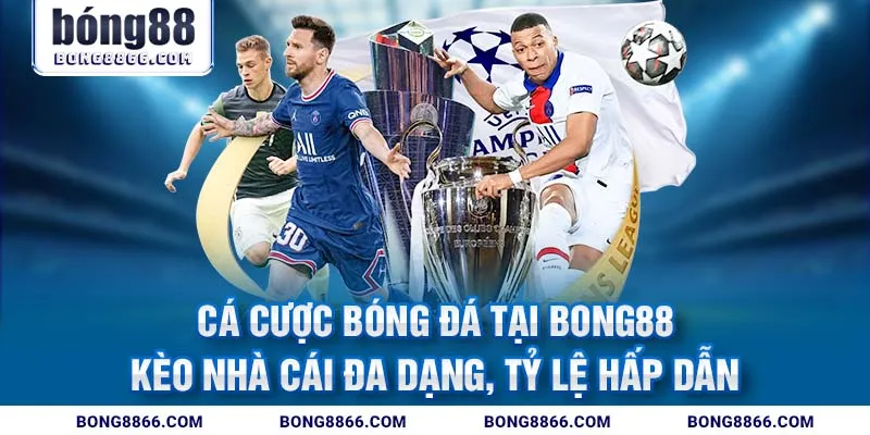  Cá cược bóng đá tại Bong88 - Kèo nhà cái đa dạng, tỷ lệ hấp dẫn
