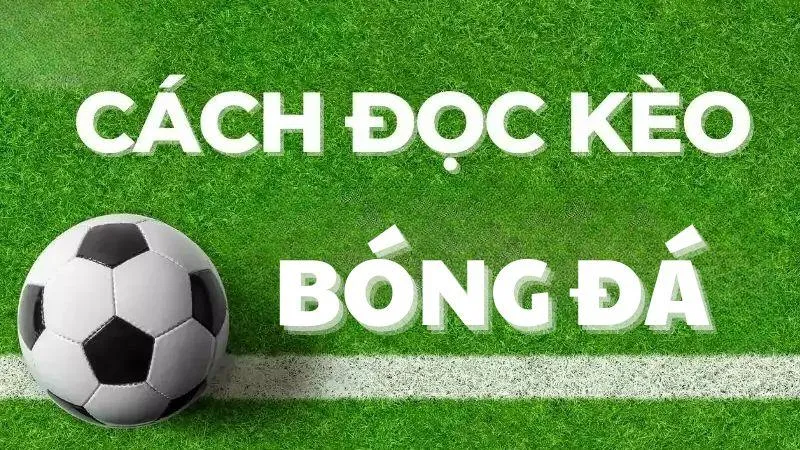 Hướng dẫn cách đọc và hiểu các tỷ lệ kèo Châu Á (Handicap) chi tiết